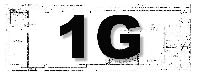 1G